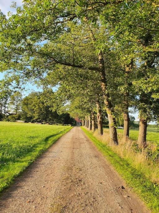 Leuk Boerderijtje Op Prachtige Plek, Nabij Natuurgebied Ruurlo Bagian luar foto