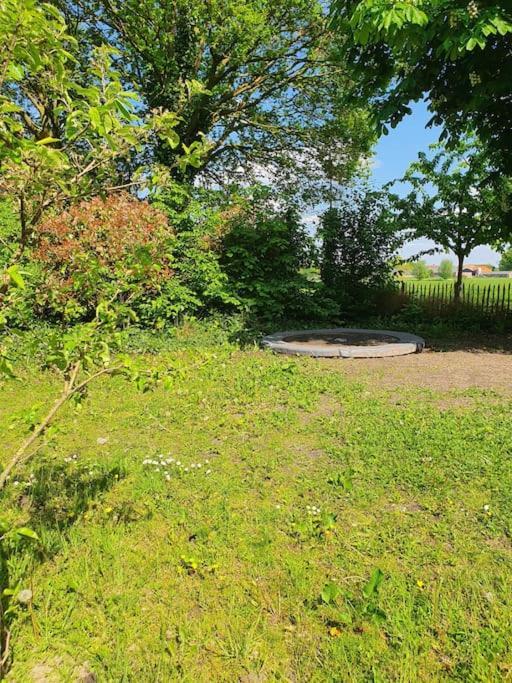 Leuk Boerderijtje Op Prachtige Plek, Nabij Natuurgebied Ruurlo Bagian luar foto