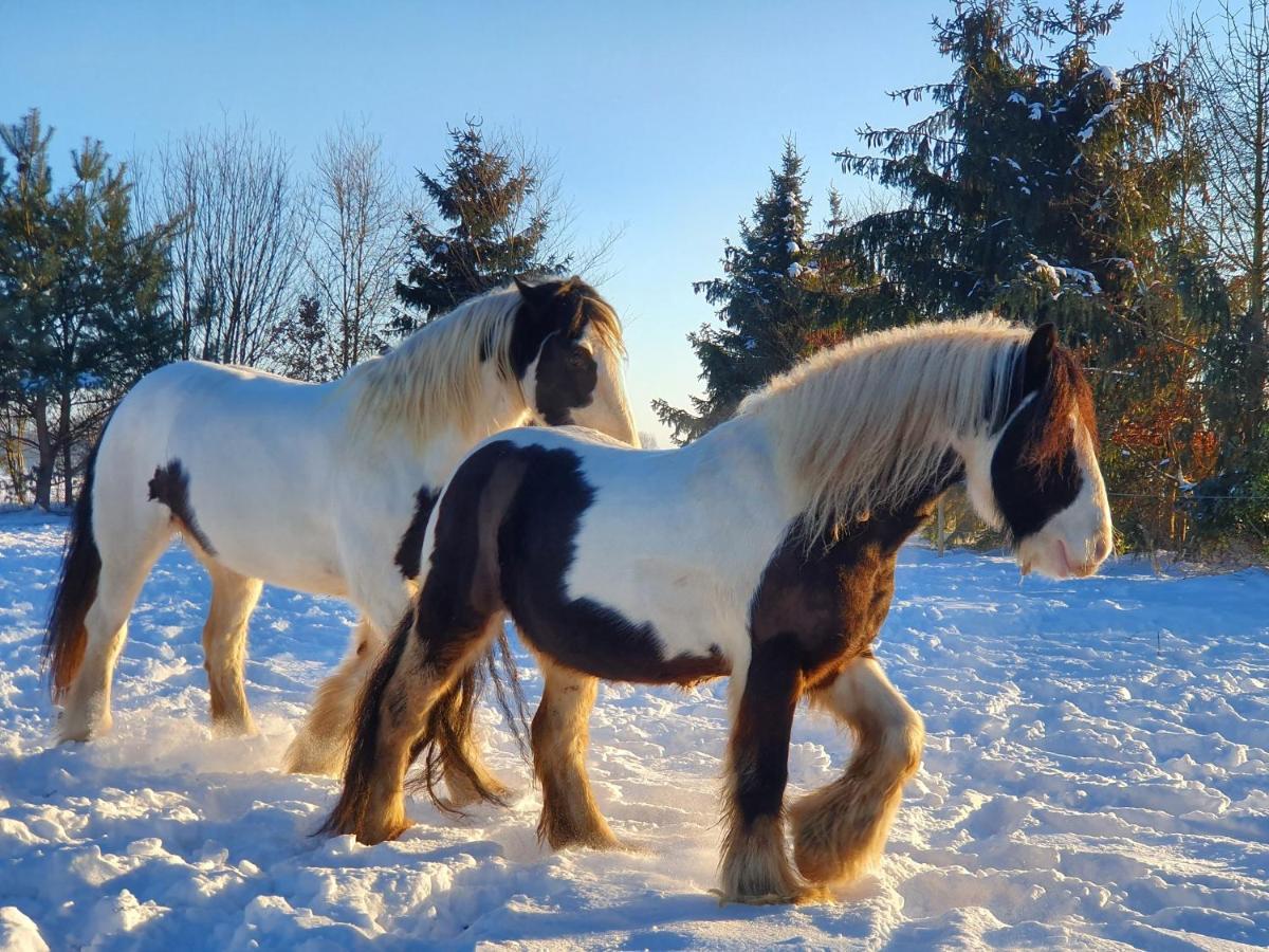 Leuk Boerderijtje Op Prachtige Plek, Nabij Natuurgebied Ruurlo Bagian luar foto